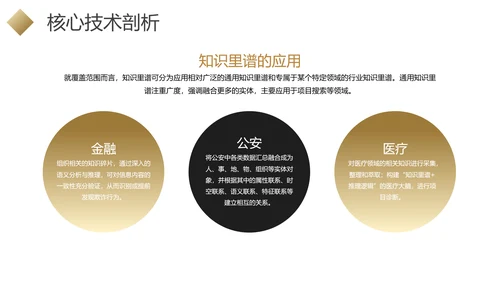 黑金色商业项目行业分析报告PPT模板