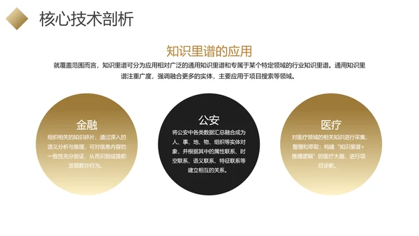 黑金色商业项目行业分析报告PPT模板