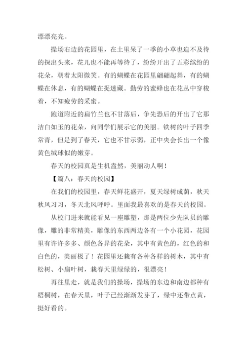 春天的校园作文300字.docx