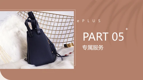 ins简约风服饰箱包品牌推广介绍路演PPT模板