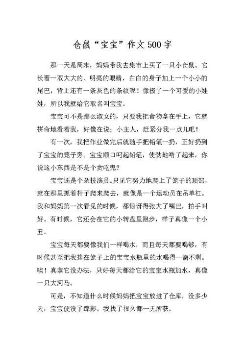 仓鼠“宝宝”作文500字