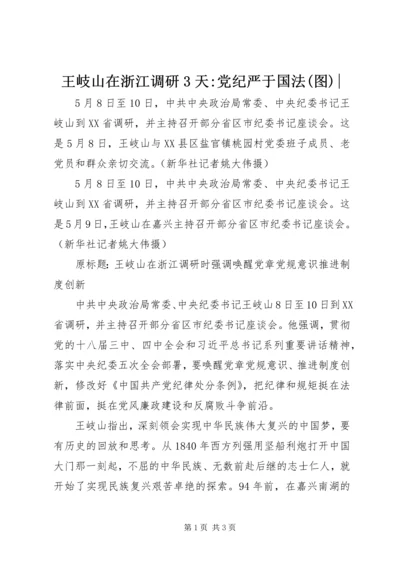 王岐山在浙江调研3天-党纪严于国法(图)-.docx