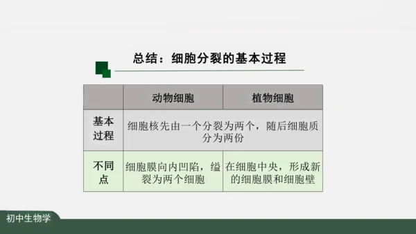 2.2.1 细胞通过分裂产生新细胞 课件（共22张PPT）