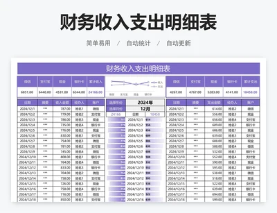 财务收入支出明细表