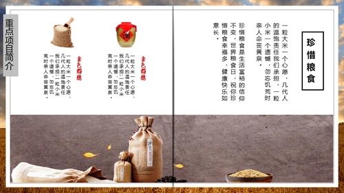 大粮仓粮食丰秋通用PPT模板
