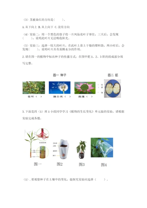 教科版四年级下册科学第一单元《植物的生长变化》测试卷精品加答案.docx