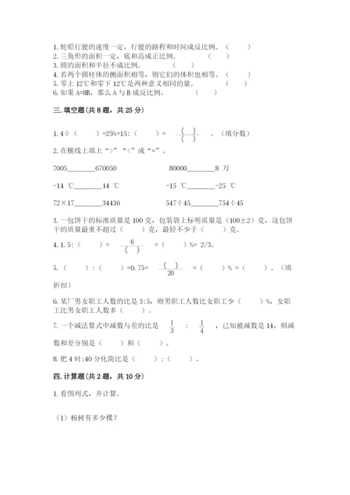 濠江区六年级下册数学期末测试卷标准卷.docx