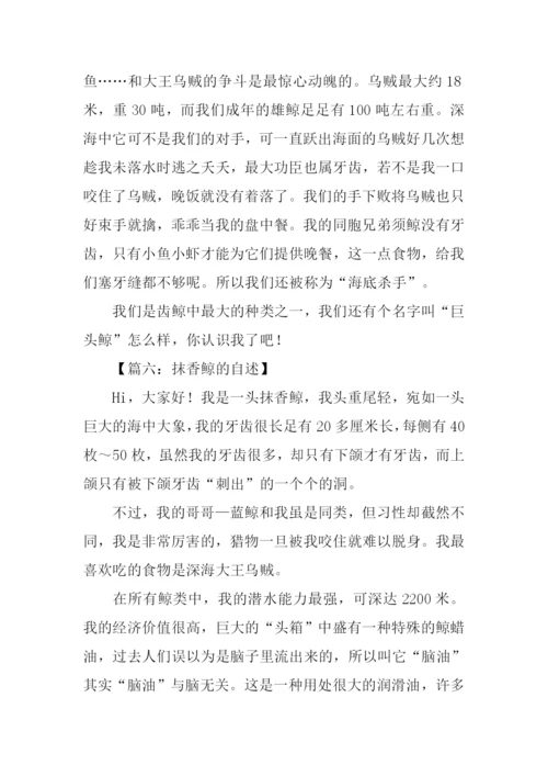 抹香鲸的自述500字.docx