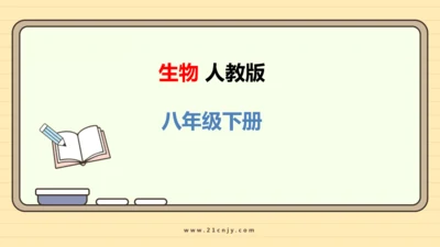 7.1.4鸟的生殖和发育-八年级生物人教版下学期同步精品课件(共24张PPT)