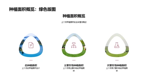 种植业收益增长策略