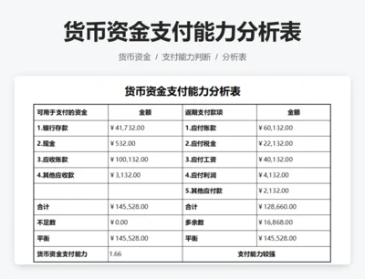 货币资金支付能力分析表