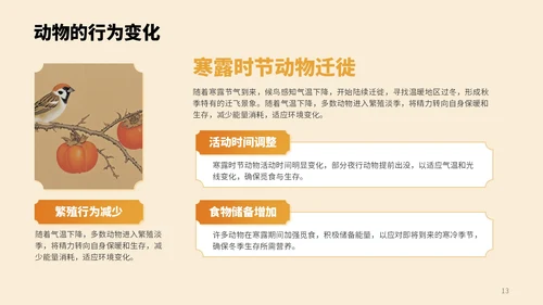 橙色中国风寒露节气PPT模板