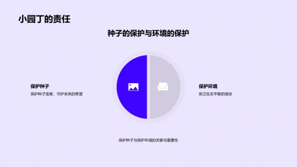 种子生长科学课PPT模板