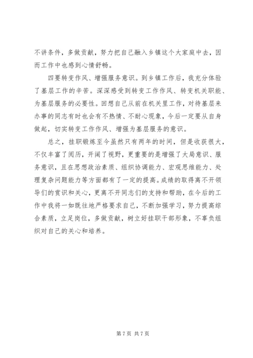 乡镇干部个人挂职锻炼工作总结.docx