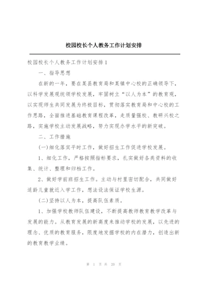 校园校长个人教务工作计划安排.docx