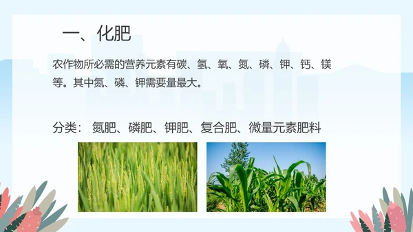 人教版九年级化学《化学肥料》PPT课件