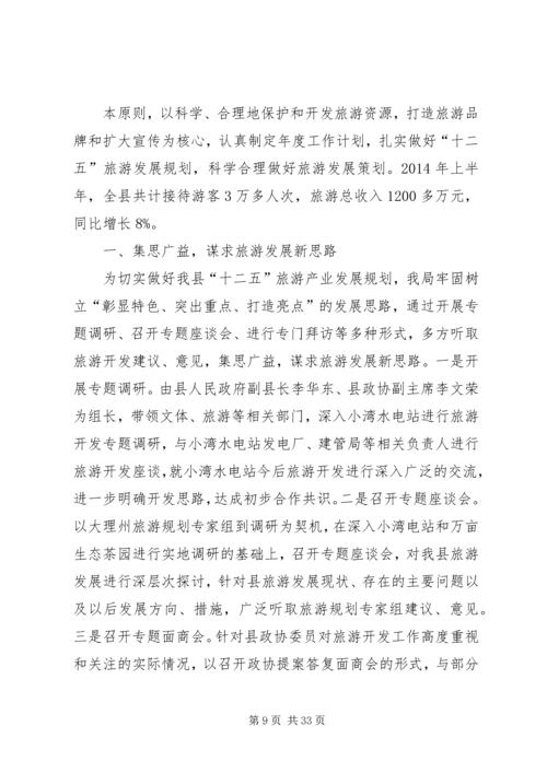 旅游事业局XX年上半年工作总结及下半年工作计划.docx