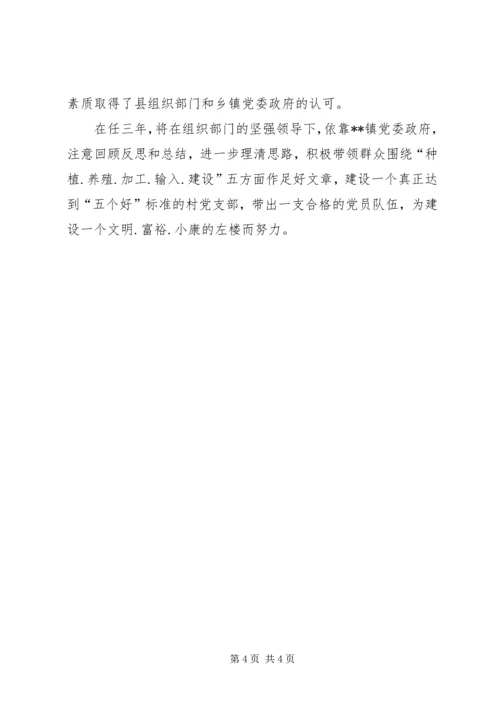 乡镇第二批农村选派村支书工作总结.docx