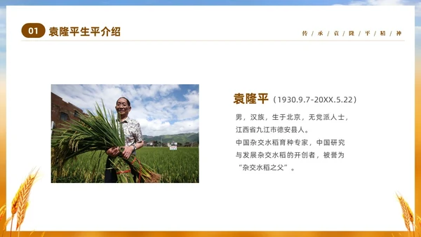 黄色实拍稻穗522纪念杂交水稻之父袁隆平主题班会PPT纪念袁隆平