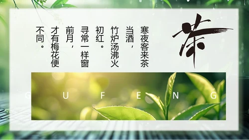 春茶通用PPT模板