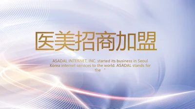 医美招商加盟工作总结动态PPT