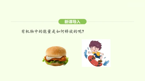 第三单元-第二章-第三节-呼吸作用课件-2024-2025学年七年级生物下学期人教版(2024)(共