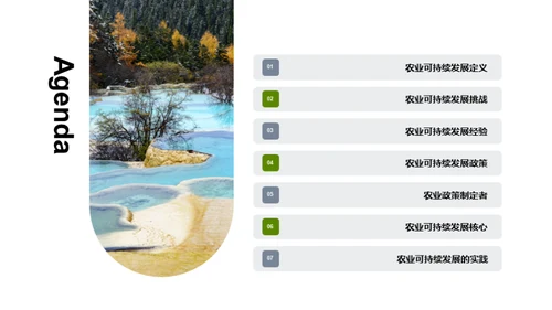 农业可持续发展：创造绿色未来