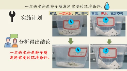 3.2.1 种子的萌发-2023-2024学年七年级生物上册优质课件（人教版）(共28张PPT)