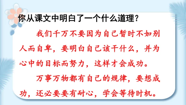 22.小毛虫（第二课时）教学课件