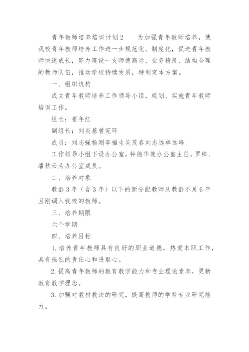 青年教师培养培训计划.docx