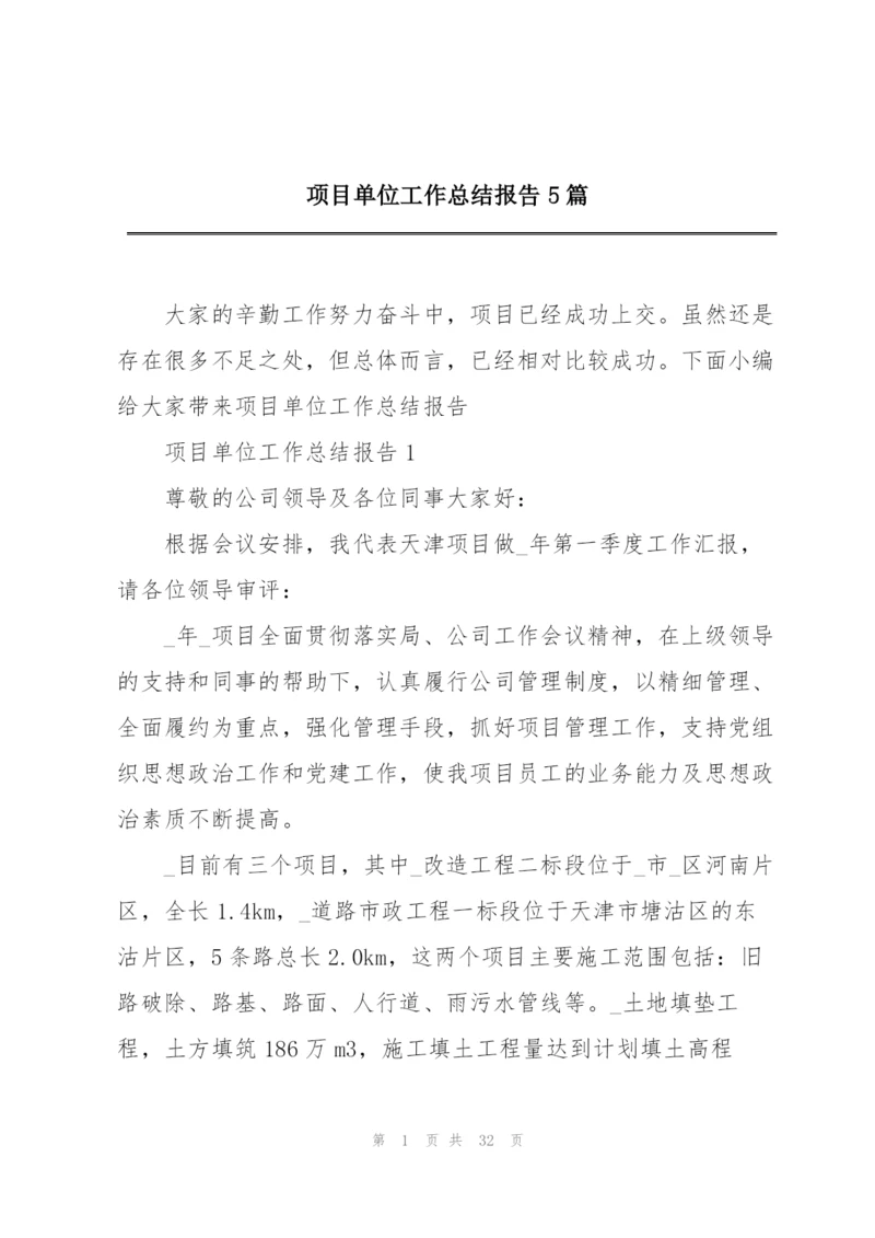 项目单位工作总结报告5篇.docx