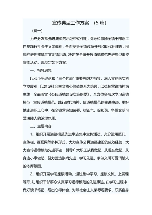 宣传典型工作方案-(5篇).docx