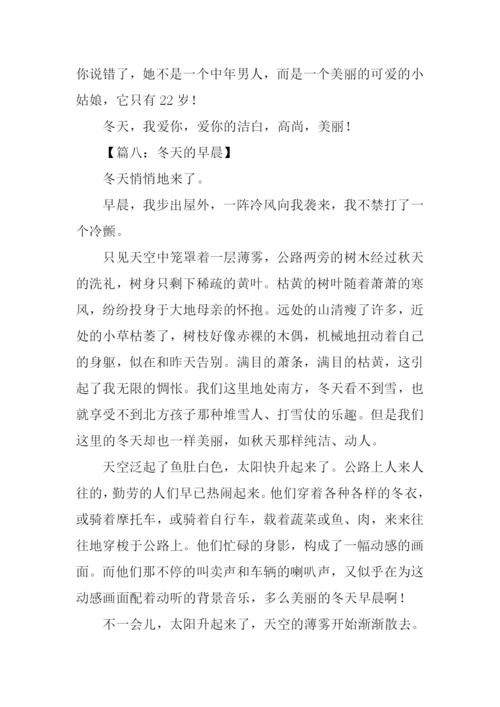 描写冬天的作文500字.docx