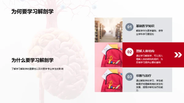 解剖学的医学精要