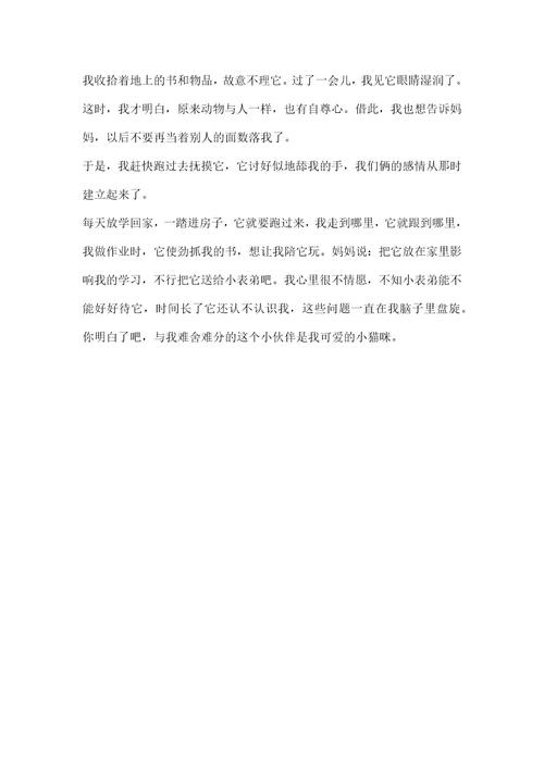 有朋友真好作文400