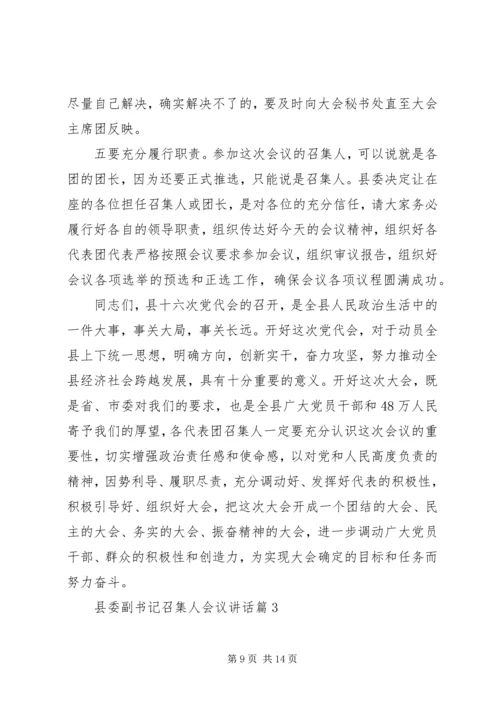 县委副书记召集人会议讲话.docx