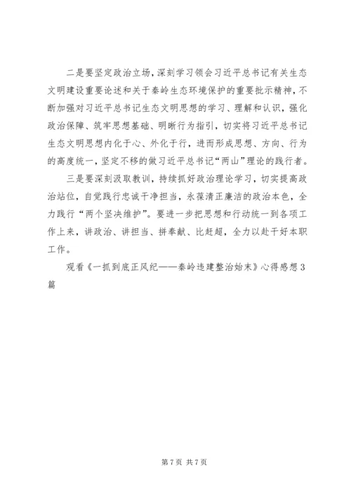 观看《一抓到底正风纪——秦岭违建整治始末》心得感想3篇.docx