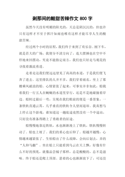 刹那间的酸甜苦辣作文800字.docx