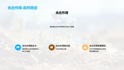 揭秘植物生长之谜