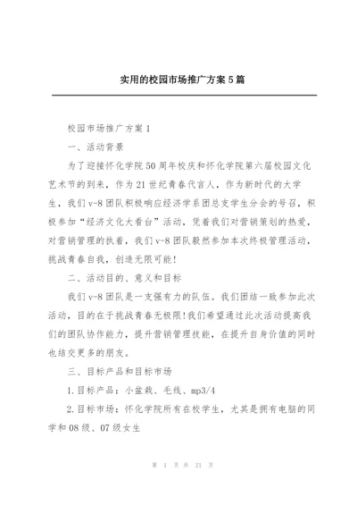 实用的校园市场推广方案5篇.docx