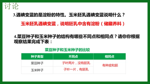 人教版（2024）七年级上册2.1.2 种子植物 课件(共32张PPT)+视频素材