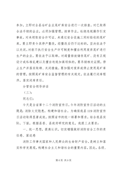 分管安全领导讲话.docx