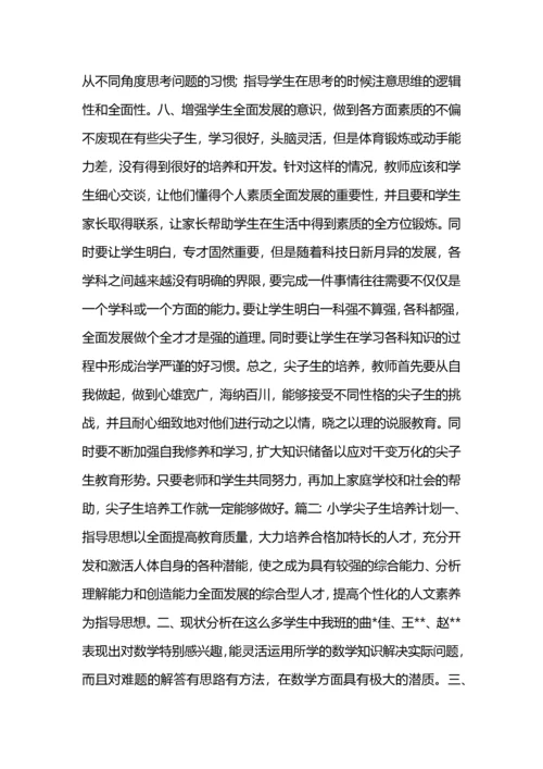 初中尖子生培养工作计划.docx