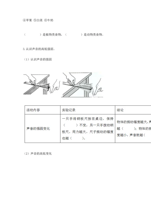 教科版科学四年级上册期末测试卷精品（完整版）.docx