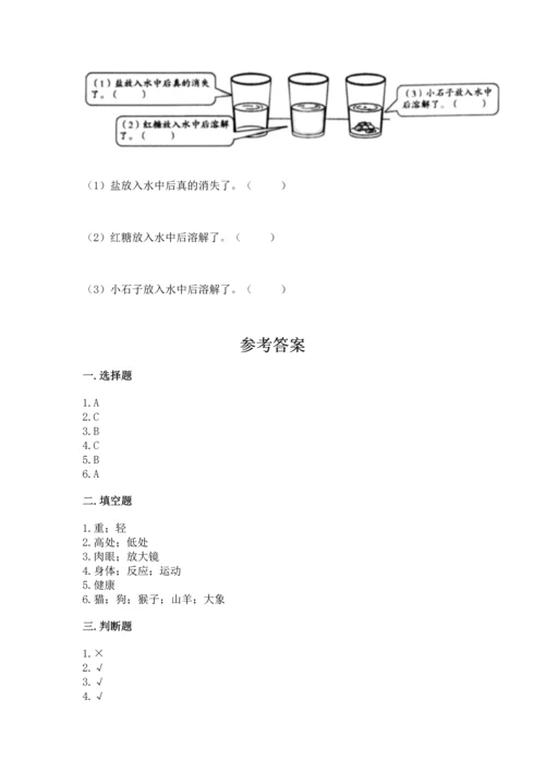 教科版一年级下册科学期末测试卷精品【名校卷】.docx