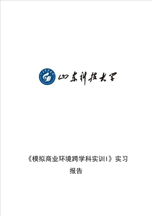 VBSE实习报告财务类模板