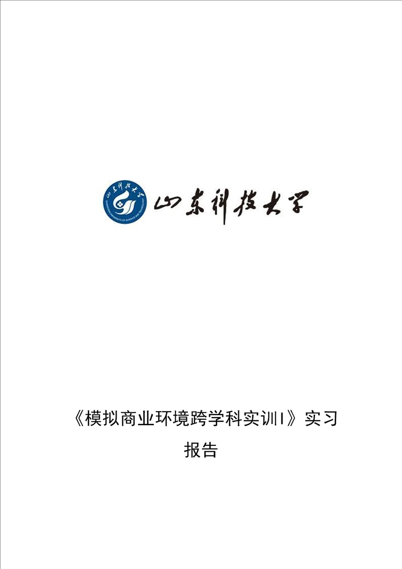 VBSE实习报告财务类模板