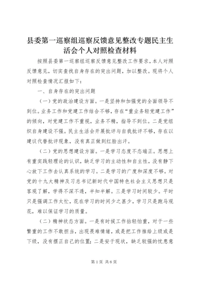 6县委第一巡察组巡察反馈意见整改专题民主生活会个人对照检查材料.docx