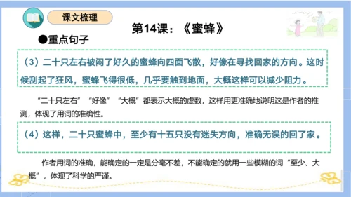 统编版三年级语文下册同步高效课堂系列第四单元（复习课件）