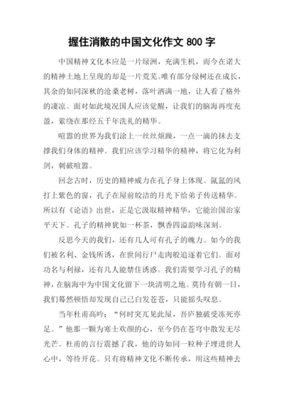 握住消散的中国文化作文800字.docx
